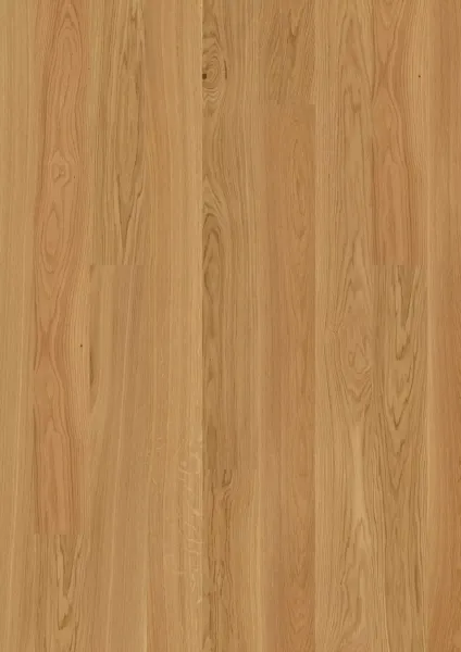 JOKA CALGARY 527 LD EDITION – E0903 Eiche geb. ELEGANCE VP